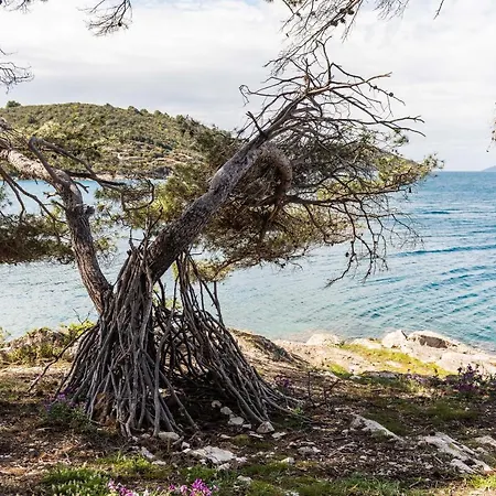 Anita Διαμέρισμα