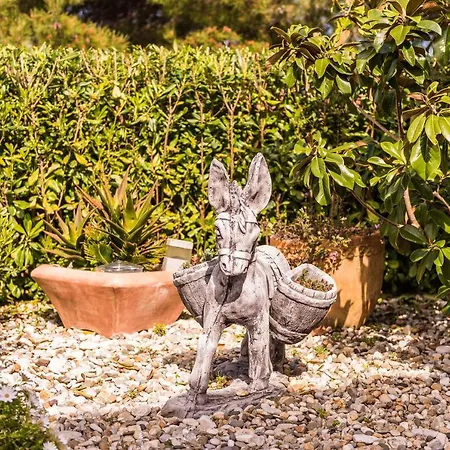 Anita Διαμέρισμα